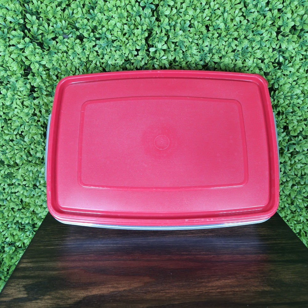 Rubbermaid Servin Saver Deviled Egg Keeper 20 Slot Red Lid Vintage 0070 FG Clear